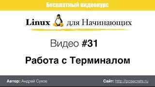 Видео #31. Работа с Терминалом