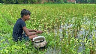 Fishing Video|| The boy is fishing with a hook in rainy day the beautiful rice field of the village