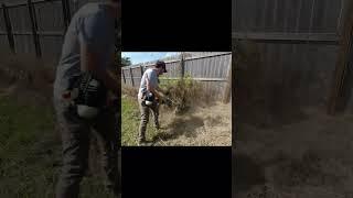 Angry Neighbor Confrontation