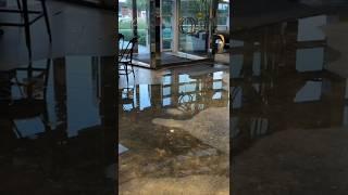 Fire and water damage cleanup in Mississauga from sprinkler flood #waterdamage #restorationcompany