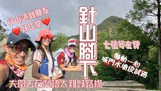 針山腳下唔太難既山徑[香港行山郊遊好去處] 4K拍攝 大圍七弦琴左脊上橫越天然山徑過城門水塘｜上一村快捷路線落山｜聯動一心城門水塘段試路兼郊遊｜沙田葵涌行山郊遊路線