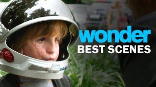 Wonder's Best Scenes