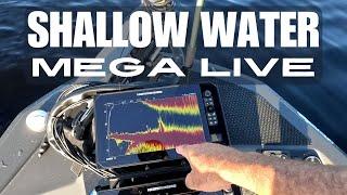 Humminbird MEGA Live Sonar in Shallow Water