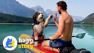 This Dog Never Leaving His Dad’s Side Through Every Adventure! | HAPP