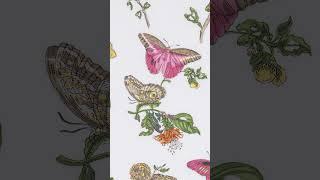 Say Hello to Baudin Butterfly | Matouk Pajamas x Schumacher