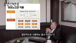 아미노산 비료를 반드시 줘야 하는 이유 (농업인방송)