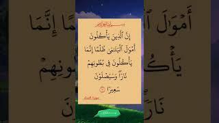 آيات من الذكر الحكيم