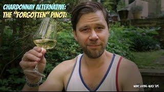 An Alternative to Chardonnay: Pinot blanc!