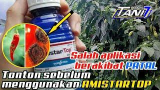 Obat Patek (ANTRAKNOSA) Paling ampuh dalam sekali spray - SPESIFIKASI AMISTARTOP 325 SC | Tani 7