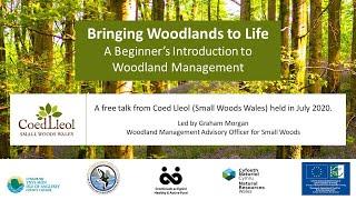 Bringing Woodlands to Life: A Beginner's Guide to Woodland Management | Coed Lleol (Small Woods)