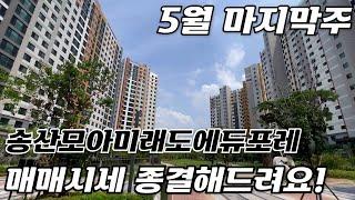 5월 마지막주 송산모아미래도에듀포레 나와 있는 매매 물건들 시세 정리끝 010-5181-4436