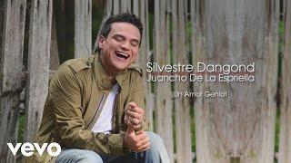 Silvestre Dangond - Un Amor Genial (Cover Audio)