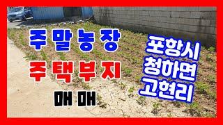 341. 고현리 주말농장매매 개울옆 청하면 주택부지 매매  주말농장으로 활용중 포항 대지매매