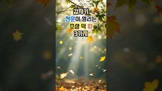 갑자기 천운이 열리는 조상 덕 띠 3가지 #대운 #로또 #재물운 #풍수