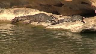 River cruise of Geikie (Danggu) Gorge