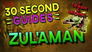 Zul'Aman - All Bosses + Trash & Mount Route - 30 Second Guides