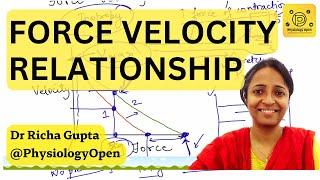 Force velocity curve relationship muscle physiology