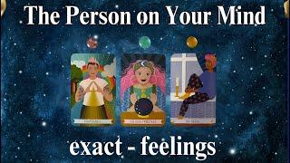 THE PERSON ON YOUR MIND (exact-feelings)   #timeless Tarot Psychic Reading! * Pick A Card *