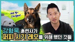 강형욱 훈련사가 퍼피 시기 레오를 위해 했던 것들｜수밤라이브