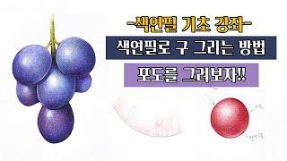 색연필 기초 강좌/색연필로 구 그리는 방법/구를 사용해서 포도 그리기/색연필보태니컬아트/botanical art