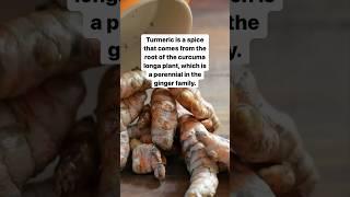 What is turmeric good for?