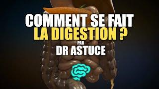  La Physiologie Digestive Expliquée Très Clairement par Dr Astuce