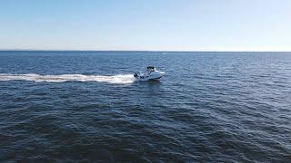 1st time to cross Moreton Bay to  Ship Wrecks, fish, pump yabby 首次开船横跨摩顿湾 沉船潜水钓鱼 遇见海豚 抽小龙虾 肥美蛏子