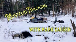 Mark Zagger - Mustelid Tracking (weasel, fisher, mink trapping)