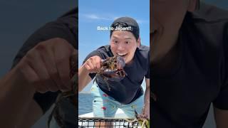 Catch a lobster with @NickDiGiovanni 