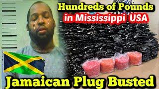 Jamaican Plug Caught in Mississippi USA with Hundreds of Pounds