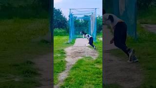 ||Round the wicket bowling||using the angle||cricket nets practice#cricket#ytshortsindia#shorts#yt