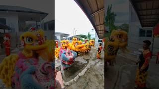 First day celebrate Chinese New Year with many Lion Dance #shorts