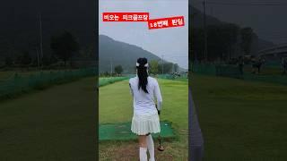 비가 와도  연습~ 고수되기위하여~#파크골프#초보일기 #golf #골프 #미미랑니캉내캉#피닉스 #원오파크골프장#대구#달성군#shorts