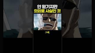 원피스) 안 믿기지만 의외로 사실인 것