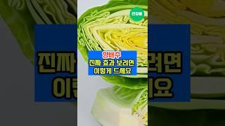 “양배추, 그냥 먹지 마세요” #건강 #건강상식 #건강정보 #건강관리