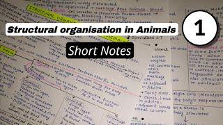 Structural Organisation in Animals | Animal Tissue | SHORT NOTES | NEET 2025