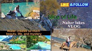 Discover the Hidden Gems Blue Lake Feroza Lake in Naltar Valley Nature's Breathtaking