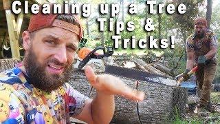 From tree to firewood! All the tips you'll ever need!