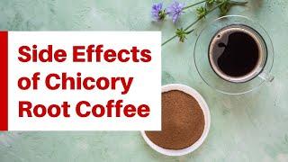 5 Worrying Side Effects You Must Know Before Drinking Chicory Coffee| by Detox is Good