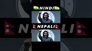 ANIMAL HINDI & NEPALI  DUBBED ️ | NEPALI DUBBING | SAGAR OD