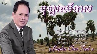 ឈួយ​ សុភាព​ -​ បុប្ផា​ឈេី​ទាល​  Chhouy Sopheap - Bopha Cher Teal [Official]