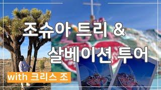 막냉이랑 미국 조슈아 트리 & 살베이션 당일 투어(태연 뮤비촬영지 / 팜트리 농장 / 소금호수 / 살베이션 마운틴 / 조슈아 트리 / 쏟아지는 별) with 크리스 조 가이드님