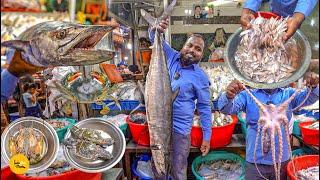 Biggest Sea FIsh Market In Delhi l Delhi Street Food