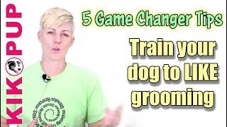 5 TIPS for training your dog to like GROOMING and NAIL TRIMMING