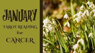 ️Cancer Tarot Reading for January 2025 – It's a huge month!!