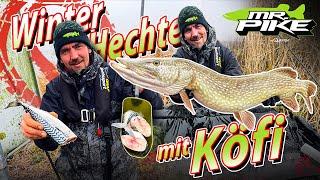 DICKE HECHTE mit KÖFI | DEADBAITING im WINTER | Hechtangeln