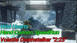 Wild Hearts Hand Cannon SpeedRun Hunt: Volatile Deathstalker "2:23" (Solo / Hand Cannon) 