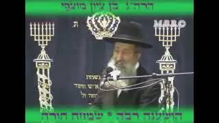 R' Ben Sion Mutzafi | Reading Nishmat Kol Hai on Hoshana Raba