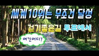 절물자연휴양림 | 세상가장걷기좋은길 | PTSD | 외상후스트레스장애 | 운동캠페인 | 제주 | 제주도여행 | 제주도가볼만한곳 | 절물휴양림 | 제주걷기좋은곳 | 절물오름