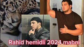 Suleyman lerikli -RAHİD HƏMİDLİ 2024 yeni mahni tik toku partadir